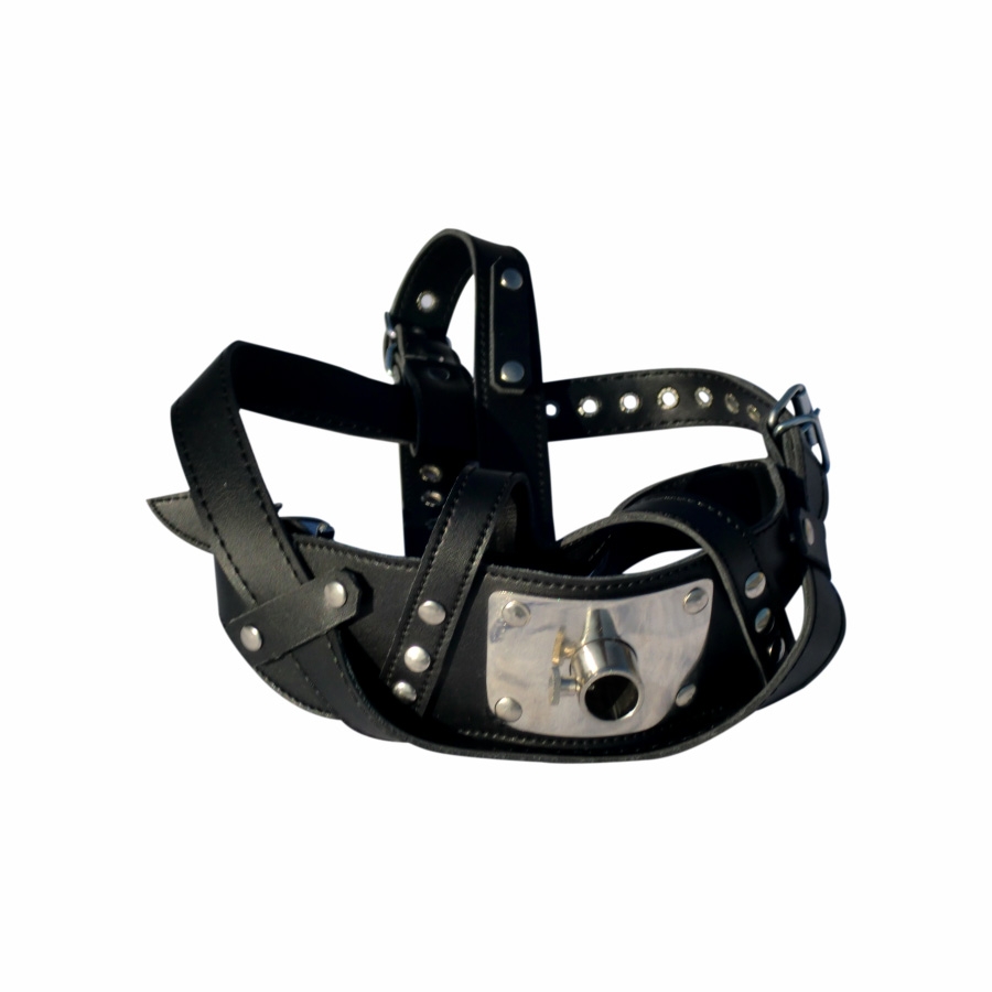 HEAD HARNESS