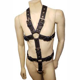 Body Harness